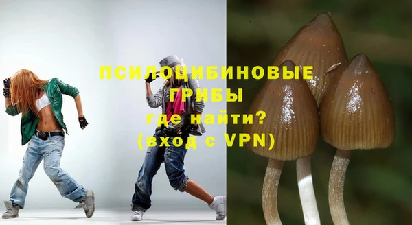мяу мяу мука Армянск
