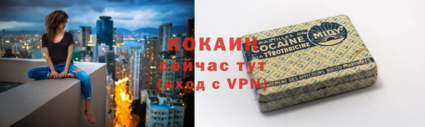 дурь Арсеньев