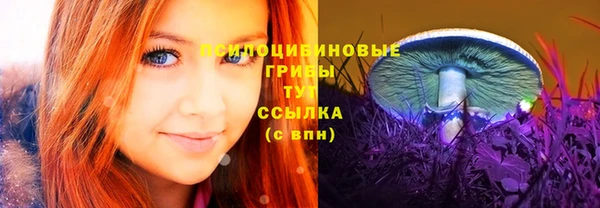 мяу мяу мука Армянск